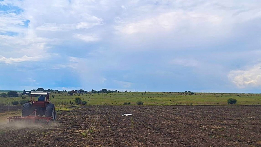 Commercial Property for Sale in Koppies Rural Free State